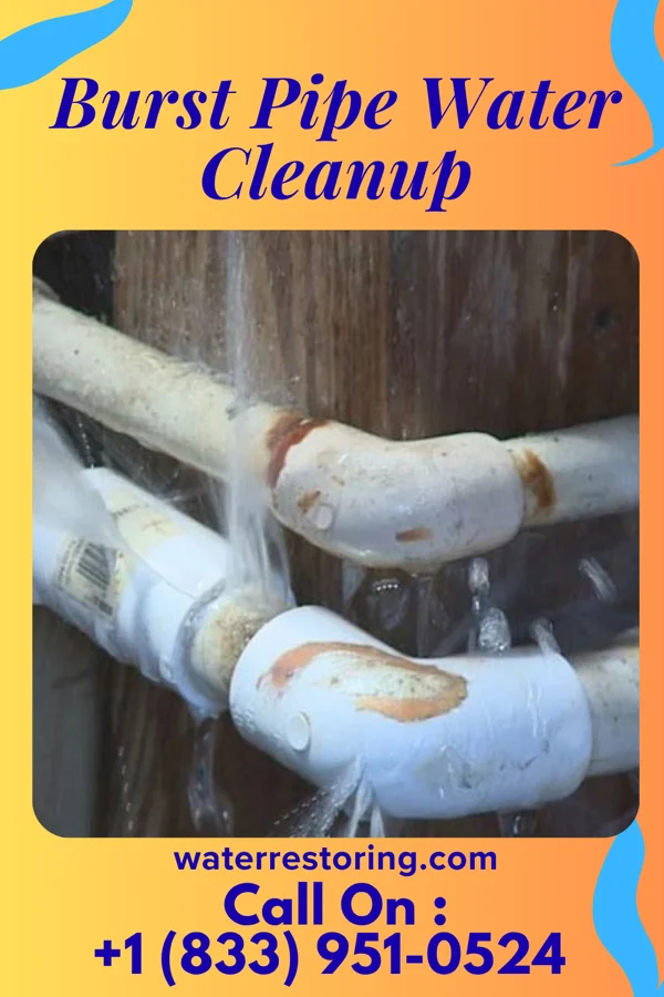 Burst Pipe Water Cleanup in Loudonville, OH