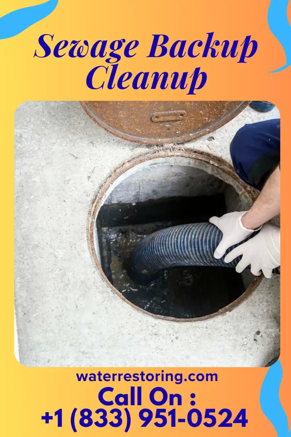 Sewage Backup Cleanup in Loudonville, OH