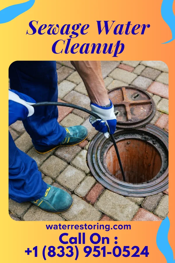 Sewage Water Cleanup in Loudonville, OH