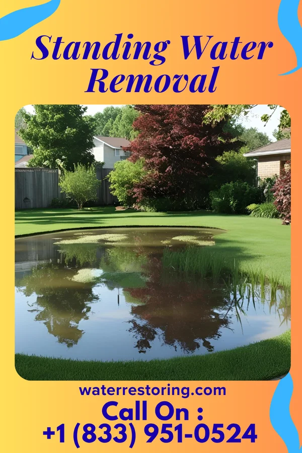Standing Water Removal in Loudonville, OH